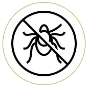 No Insects