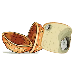 Nuts and Bread Composting with Home Electric composter