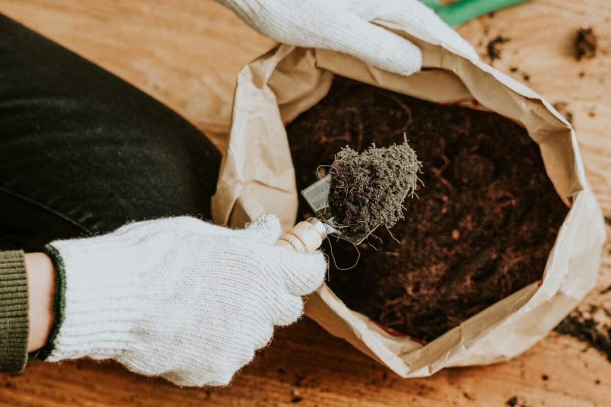 composting-with-coffee-grounds