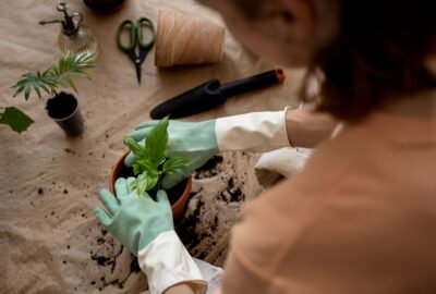 apartment-composting-tips