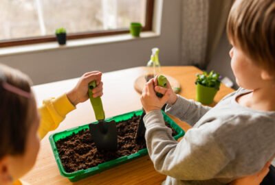 composting-for-schools