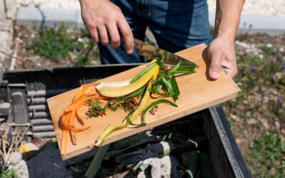 the-psychology-of-food-waste