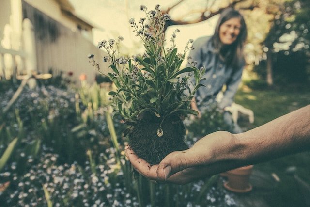 Therapeutic Benefits of Gardening