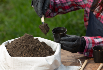 The Benefits of Mulching